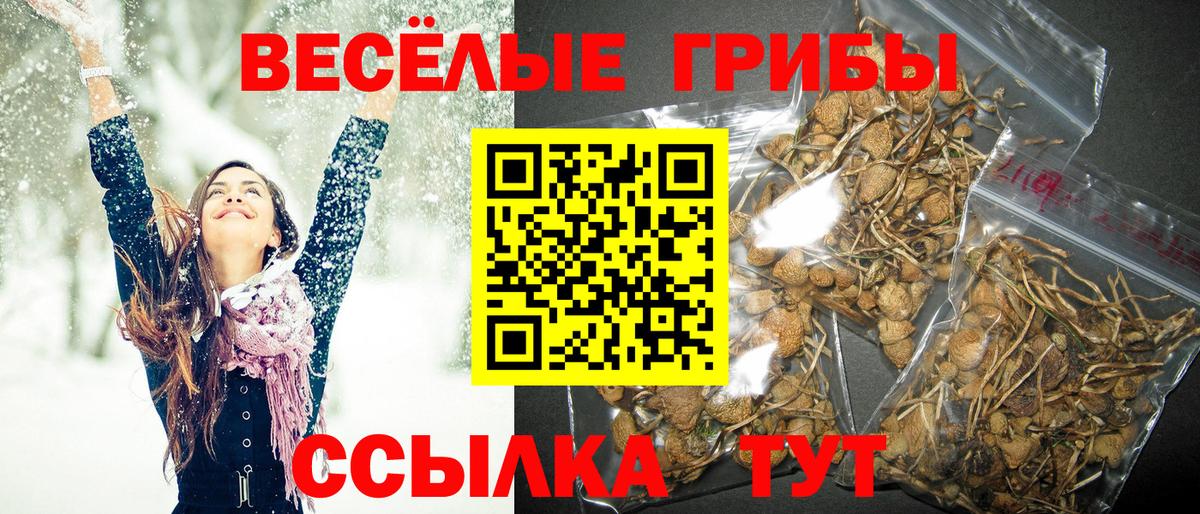 Галлюциногенные грибы GOLDEN TEACHER  Вход с VPN  Майский 